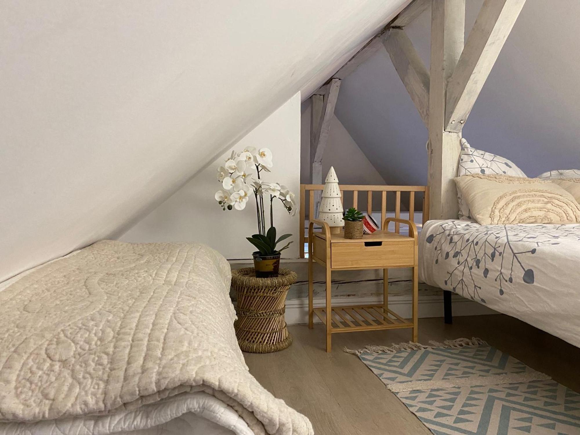 Duplex Spacieux Tout Confort Mulhouse Eksteriør billede