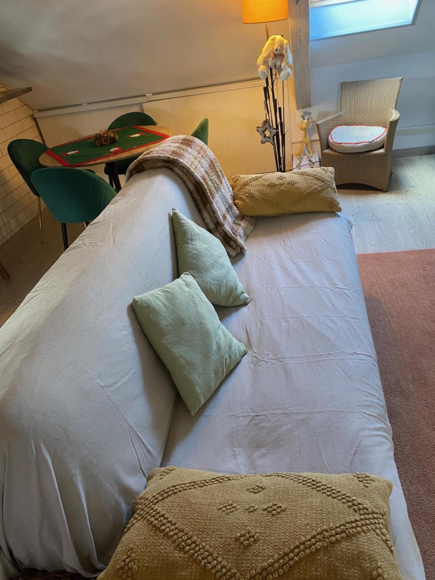 Duplex Spacieux Tout Confort Mulhouse Eksteriør billede